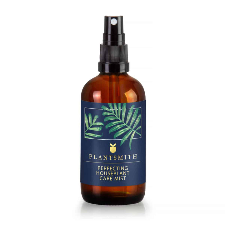 Perfecting Houseplant Care Mist