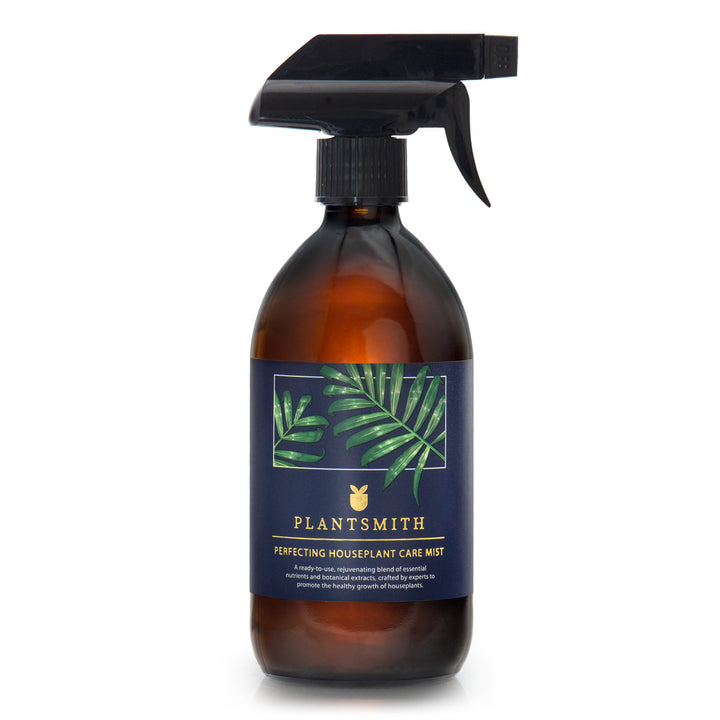 Perfecting Houseplant Care Mist