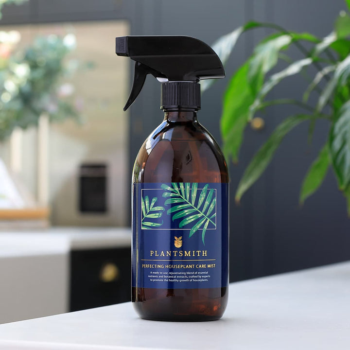 Perfecting Houseplant Care Mist